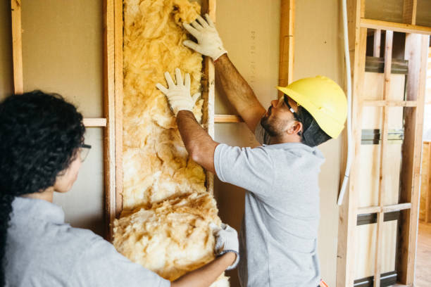 Professional Insulation in Chehalis, WA